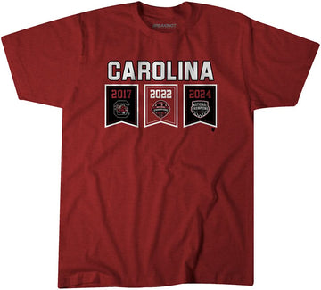 South Carolina Women's Basketball: 2024 Championship Banners