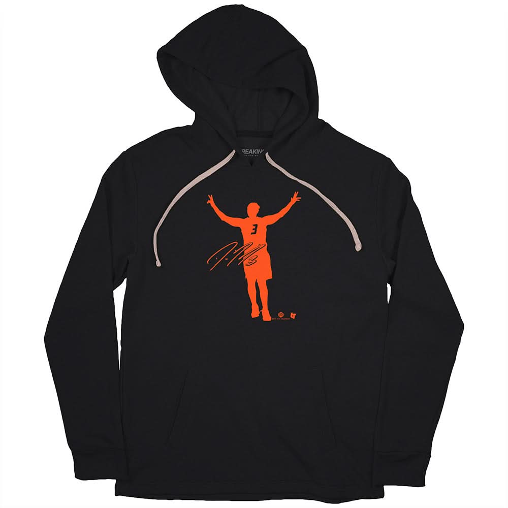 Diana Taurasi: Logo 3