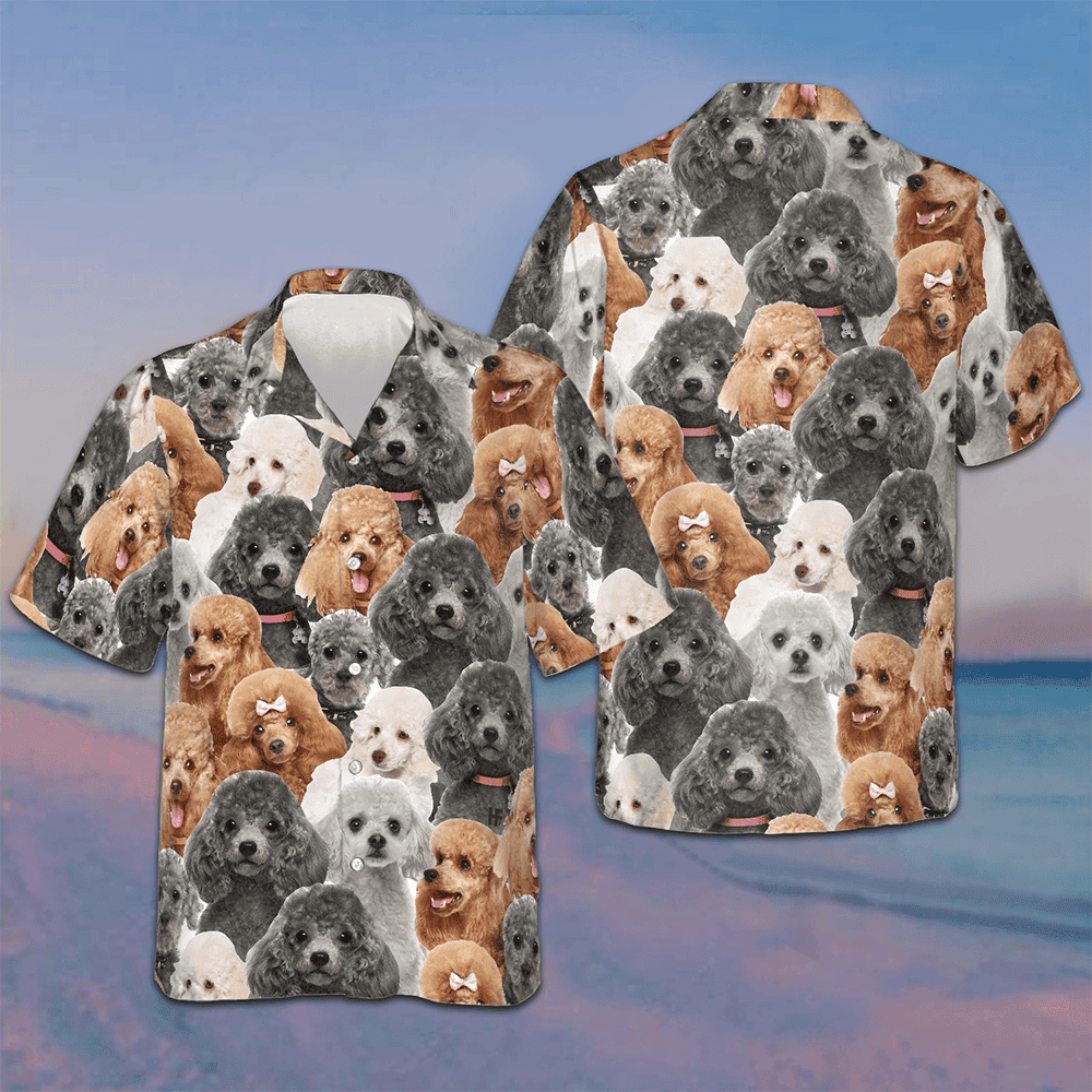 Poodles In Different Colors Hawaiian Shirt Mens Beach Button Up Gifts For Dog Owners -WearandDecor