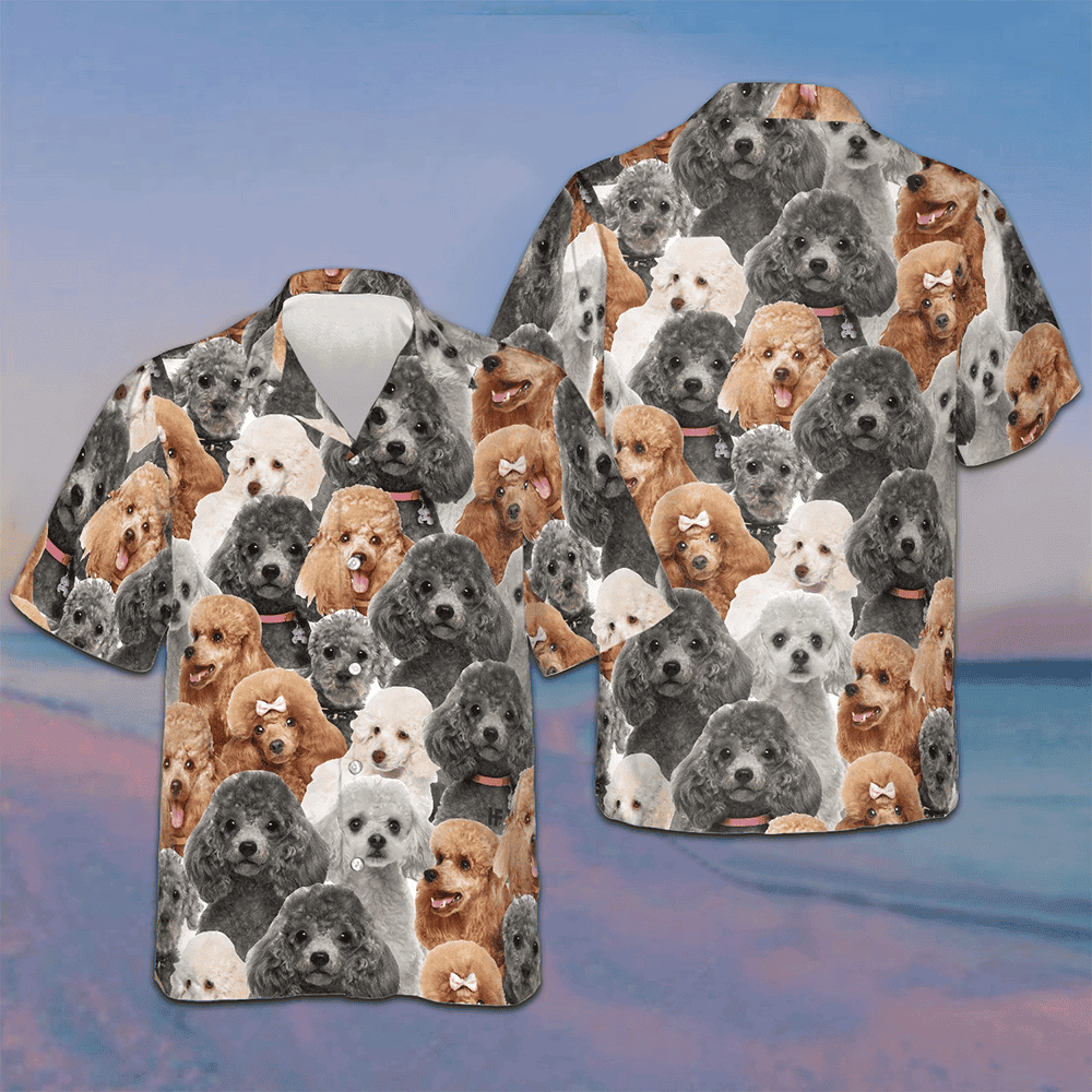 Poodles In Different Colors Hawaiian Shirt Mens Beach Button Up Gifts For Dog Owners