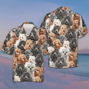 Poodles In Different Colors Hawaiian Shirt Mens Beach Button Up Gifts For Dog Owners