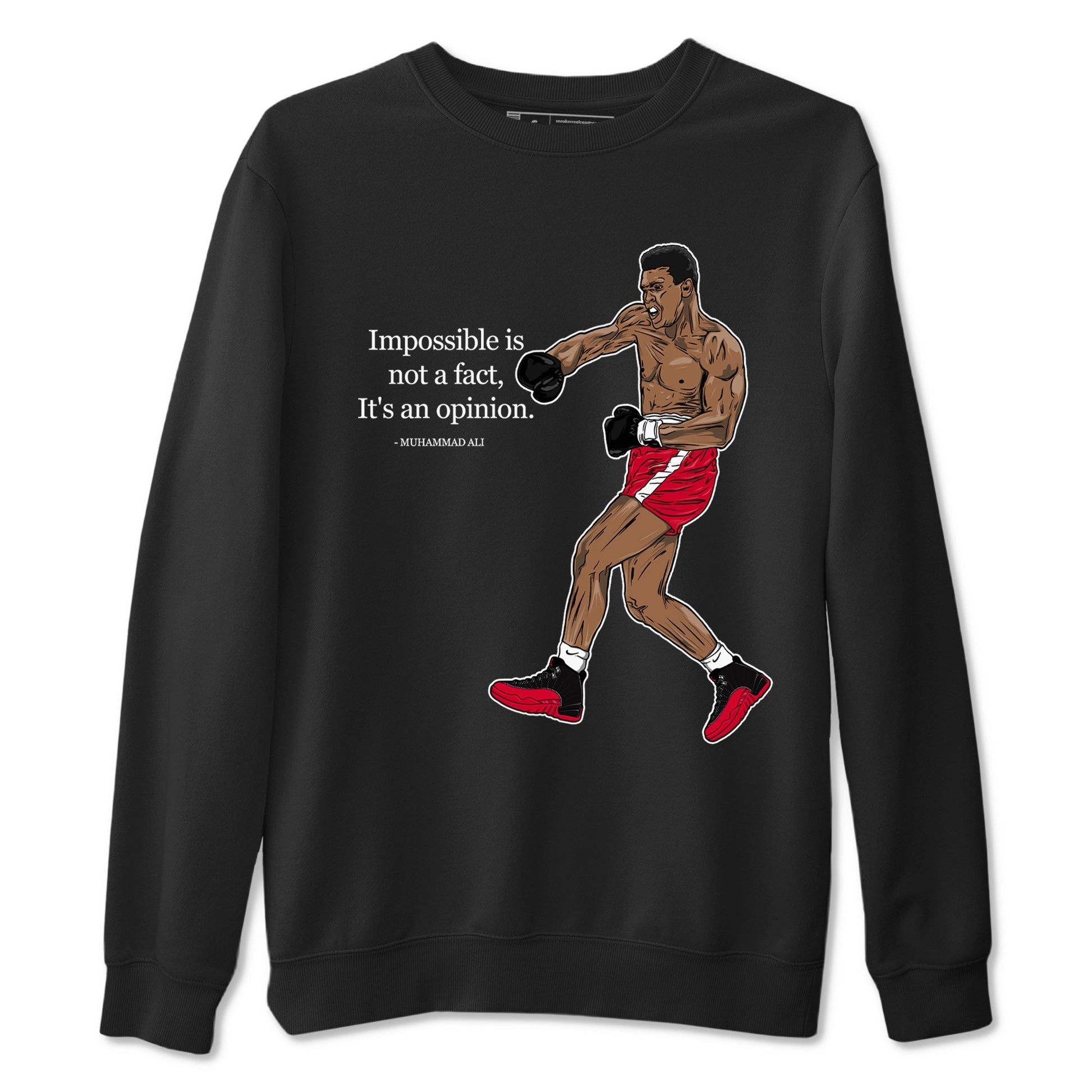 Impossible Is Not A Fact It's An Opinion Sneaker Tees - Air Jordan 12 Flu Game