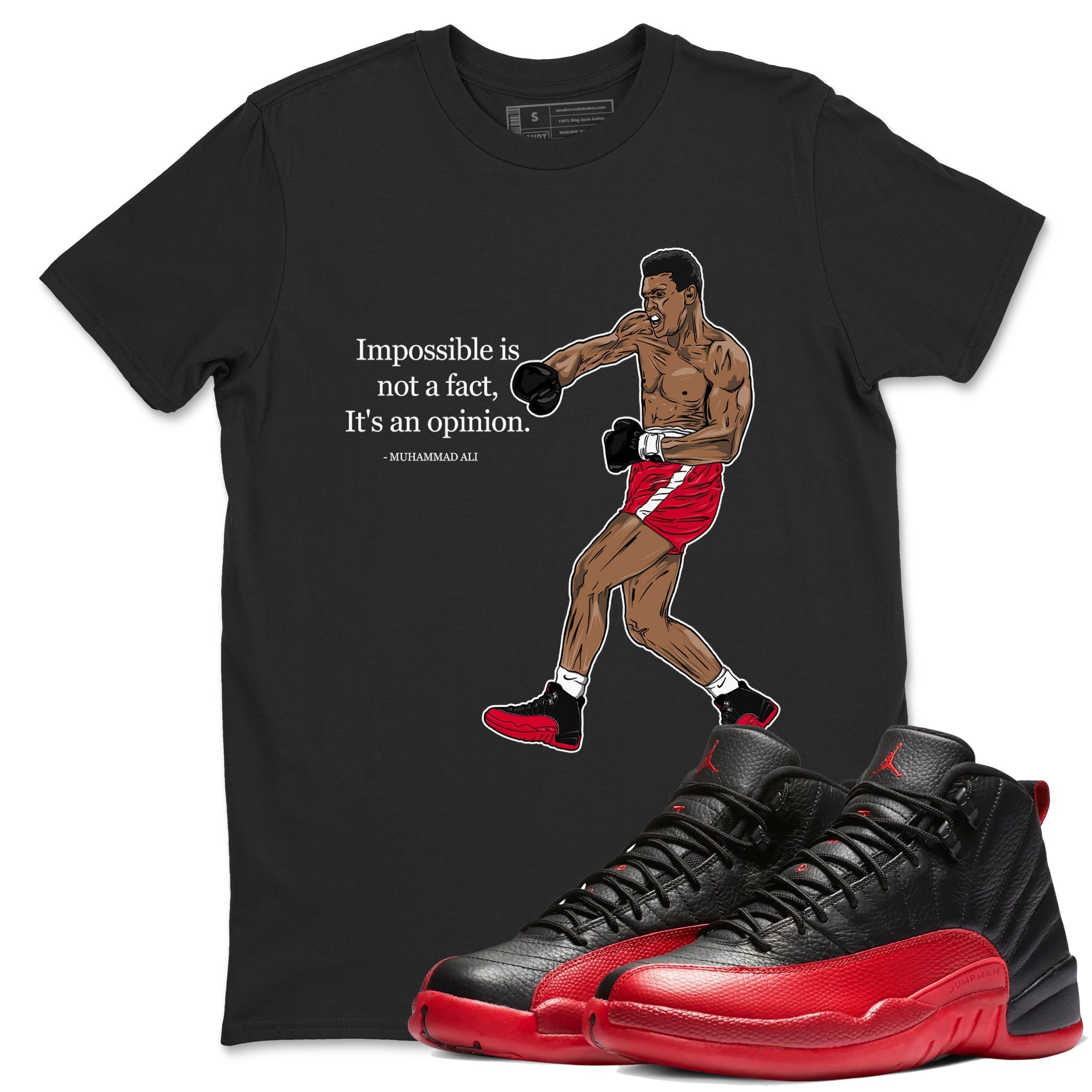 Impossible Is Not A Fact It's An Opinion Sneaker Tees - Air Jordan 12 Flu Game