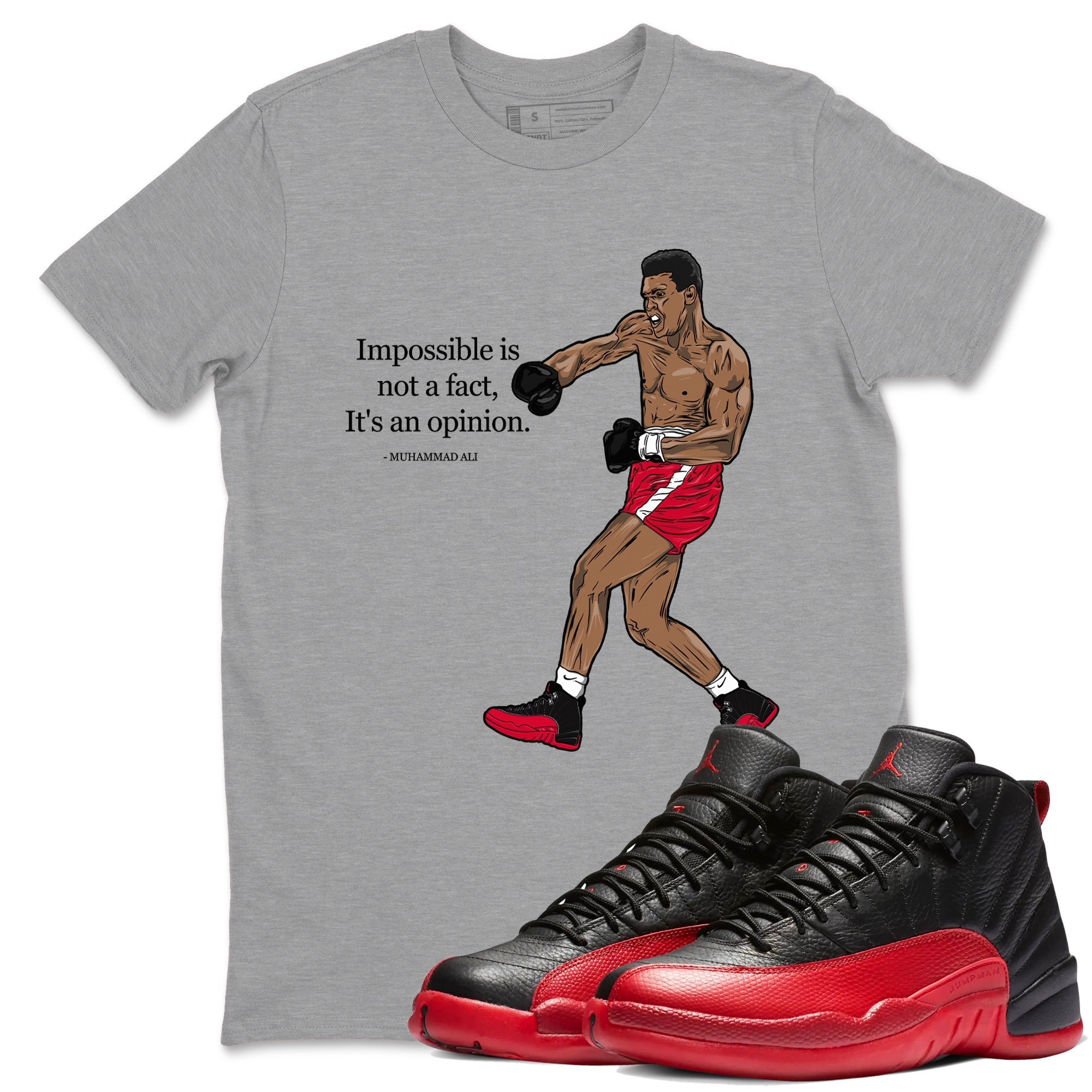 Impossible Is Not A Fact It's An Opinion Sneaker Tees - Air Jordan 12 Flu Game