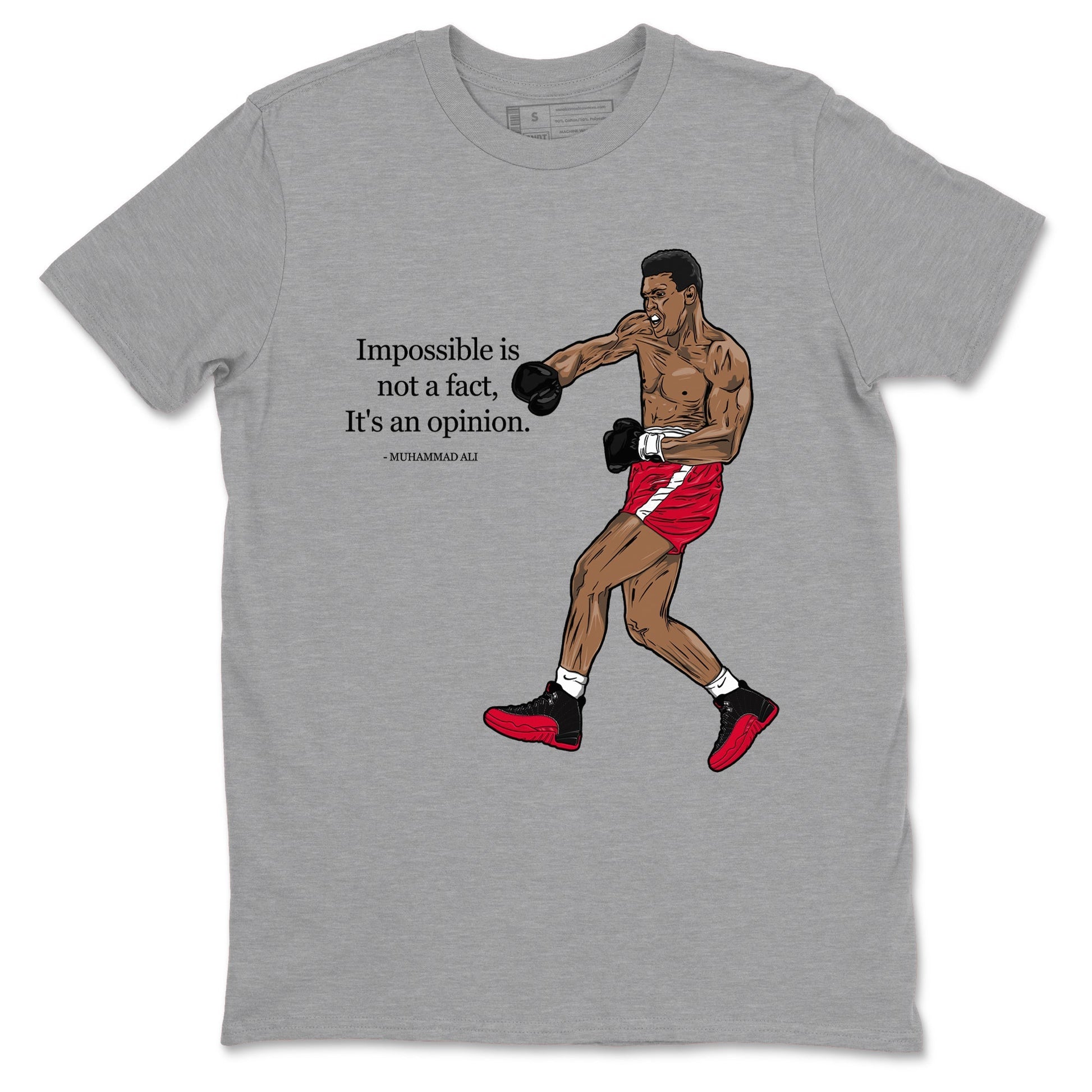 Impossible Is Not A Fact It's An Opinion Sneaker Tees - Air Jordan 12 Flu Game