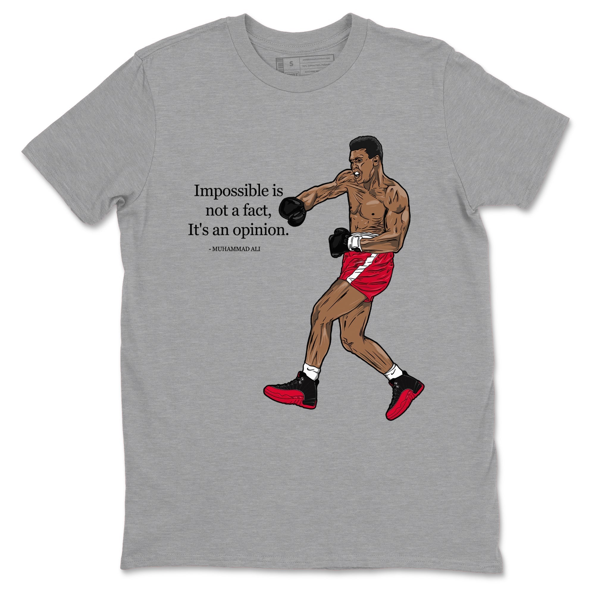 Impossible Is Not A Fact It's An Opinion Sneaker Tees - Air Jordan 12 Flu Game