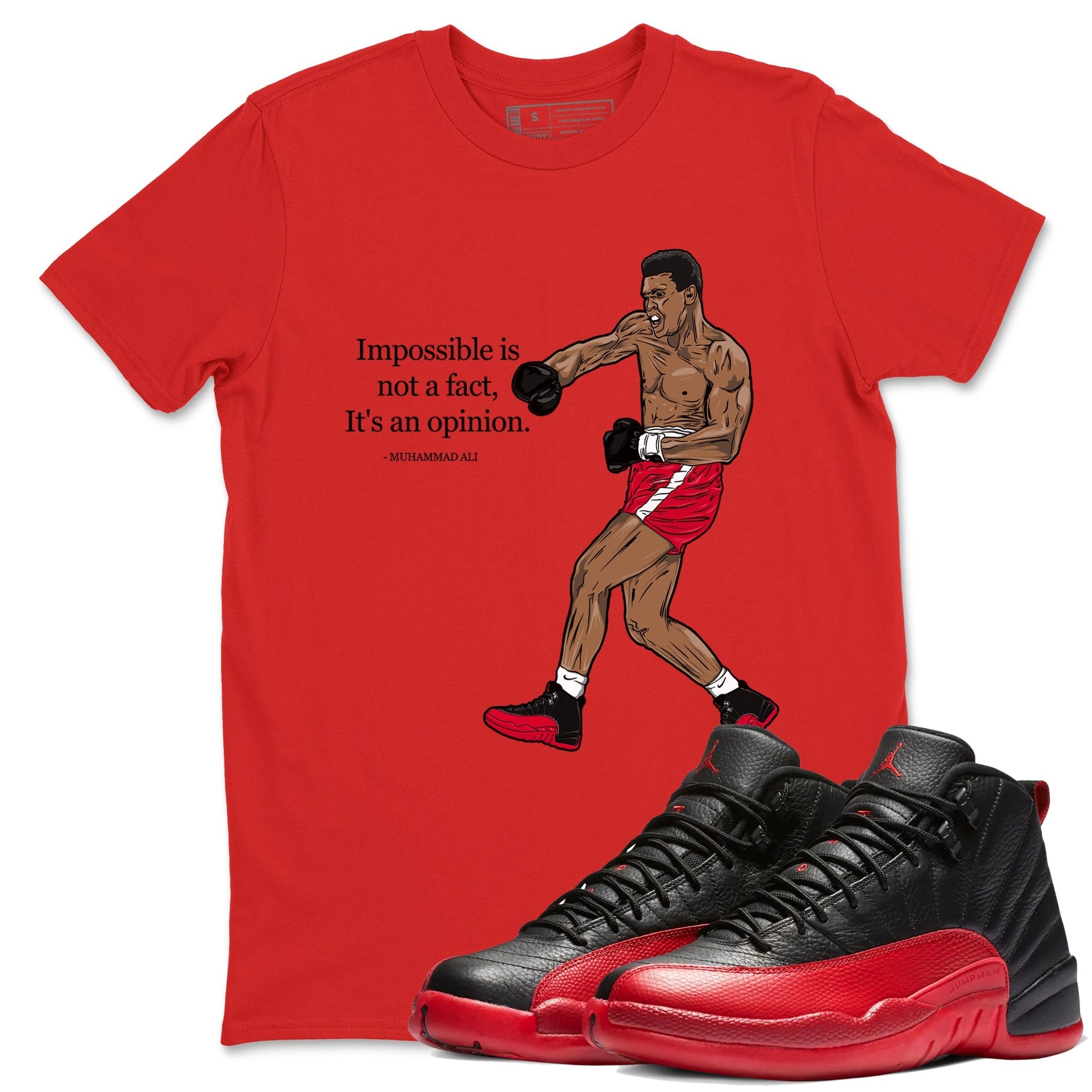 Impossible Is Not A Fact It's An Opinion Sneaker Tees - Air Jordan 12 Flu Game