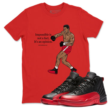 Impossible Is Not A Fact It's An Opinion Sneaker Tees - Air Jordan 12 Flu Game