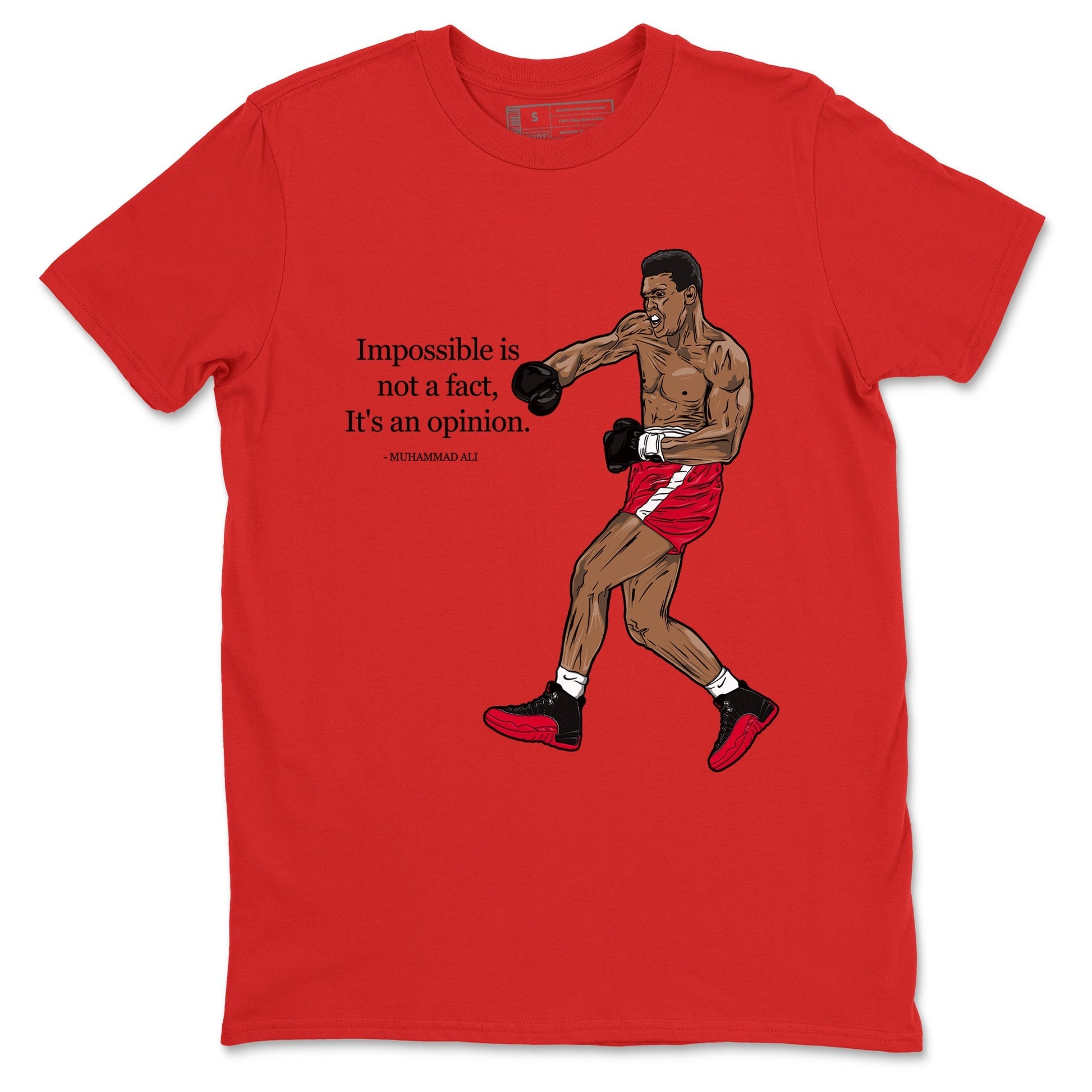 Impossible Is Not A Fact It's An Opinion Sneaker Tees - Air Jordan 12 Flu Game