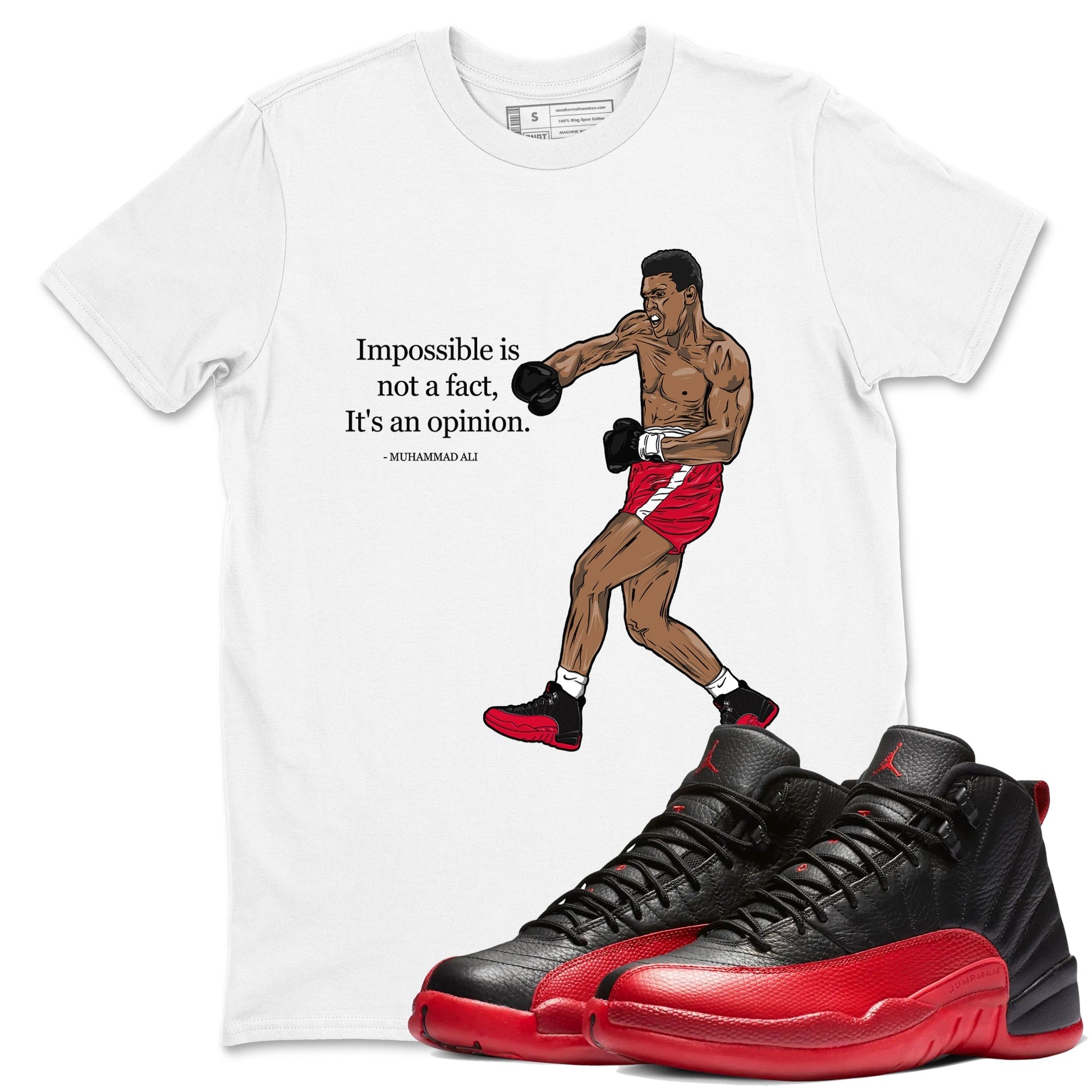 Impossible Is Not A Fact It's An Opinion Sneaker Tees - Air Jordan 12 Flu Game