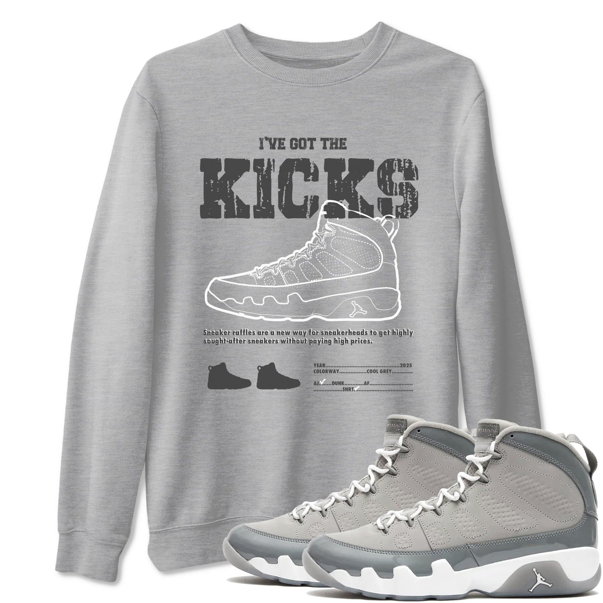 I've The Got The Kicks Sneaker Tees - Air Jordan 9 Cool Grey