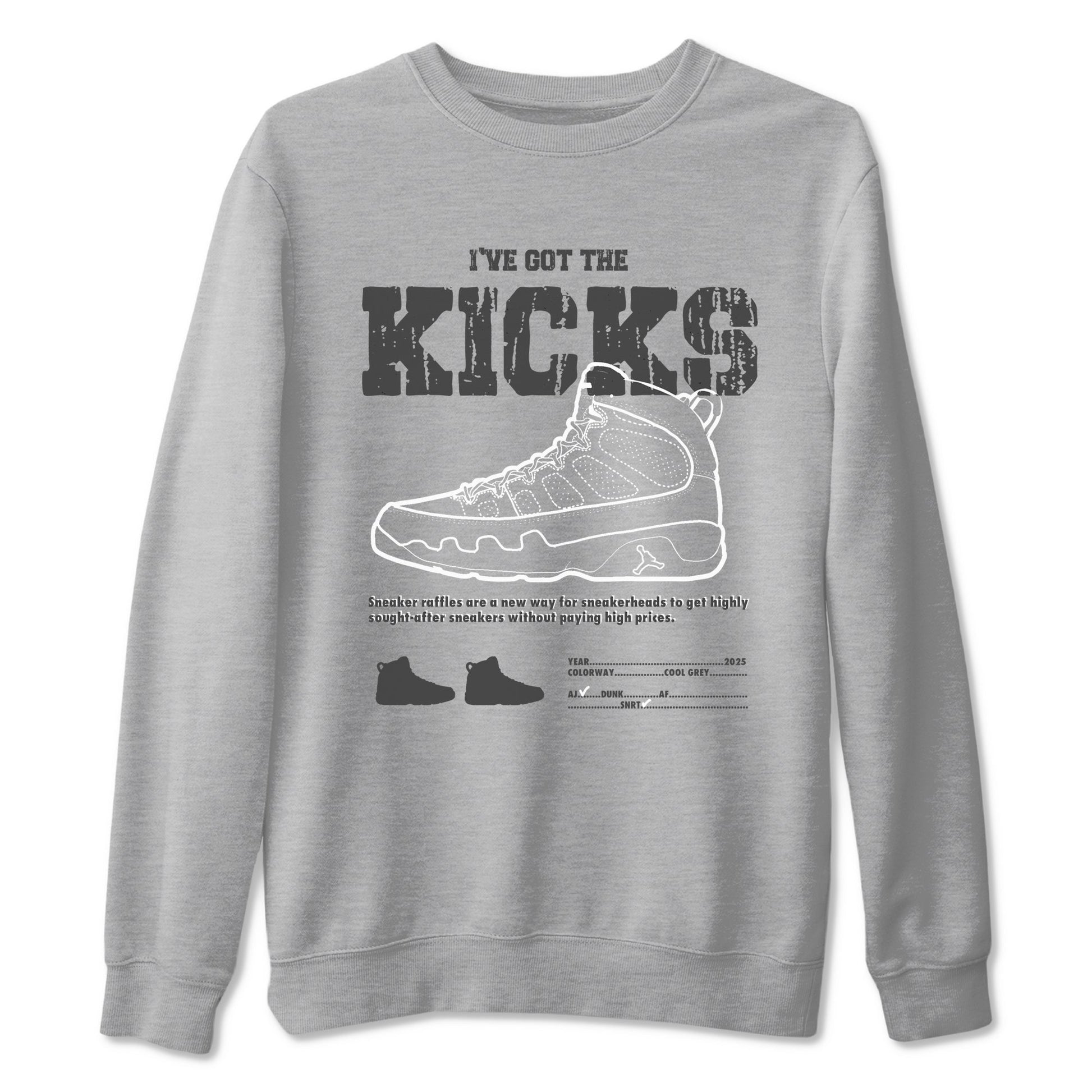 I've The Got The Kicks Sneaker Tees - Air Jordan 9 Cool Grey