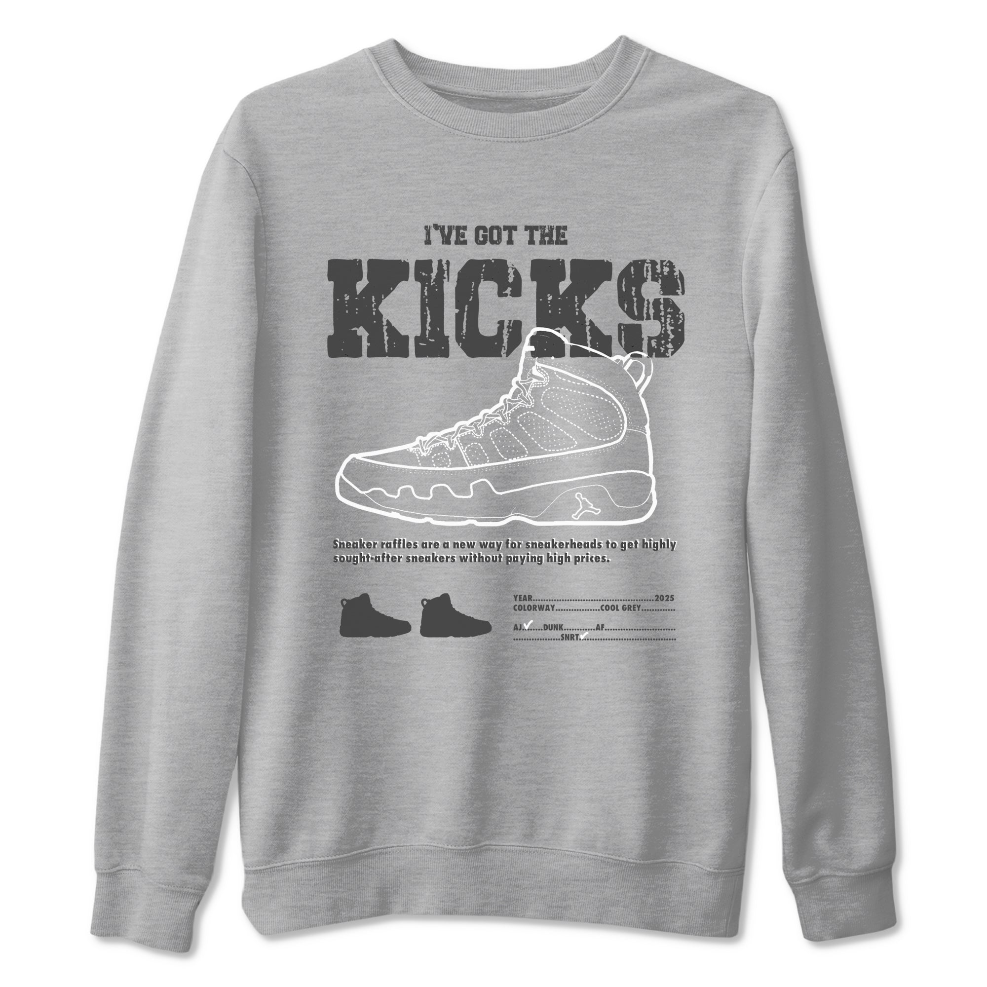 I've The Got The Kicks Sneaker Tees - Air Jordan 9 Cool Grey
