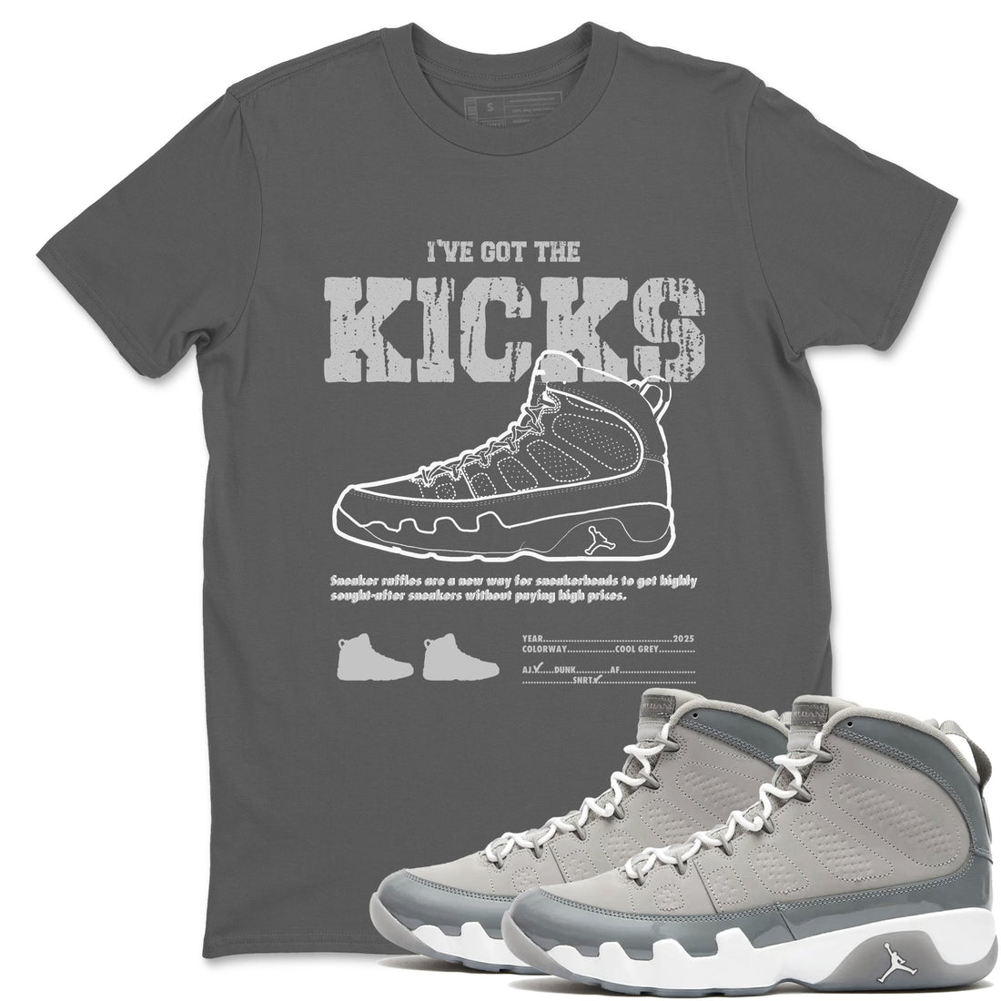 I've The Got The Kicks Sneaker Tees - Air Jordan 9 Cool Grey