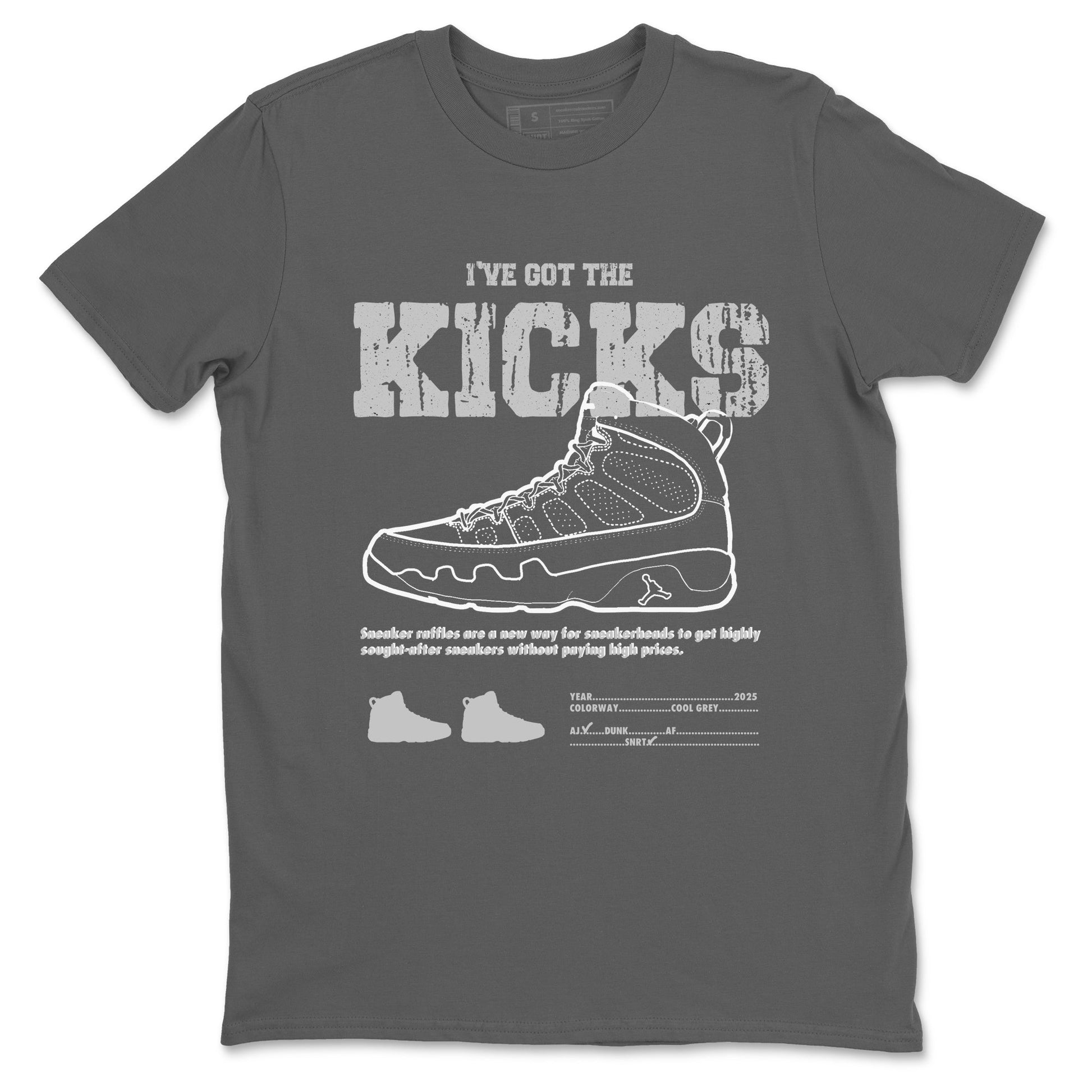 I've The Got The Kicks Sneaker Tees - Air Jordan 9 Cool Grey