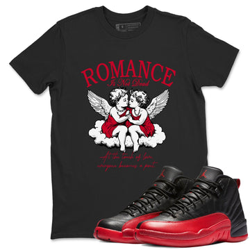 Romance Is Not Dead Sneaker Tees - Air Jordan 12 Flu Game